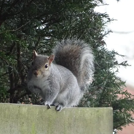 Prázdninový dům Signal At The Red House Estate *