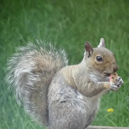 Signal At The Red House Estate 度假居 *