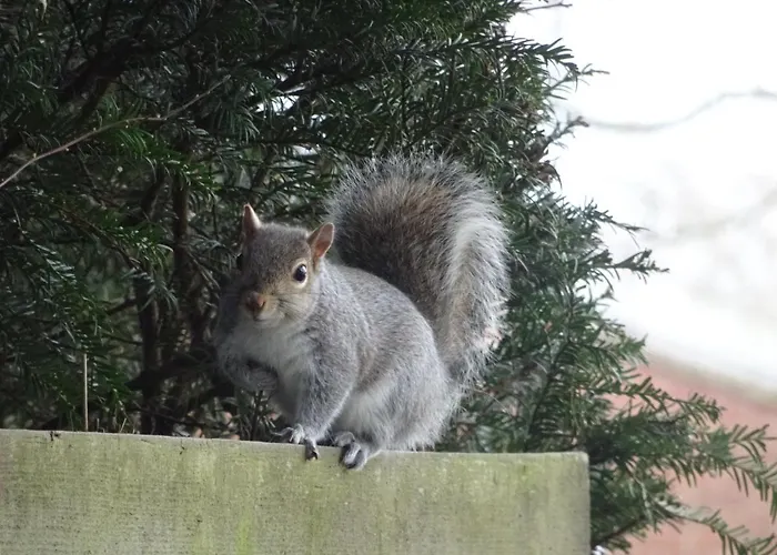 Prázdninový dům Signal At The Red House Estate *