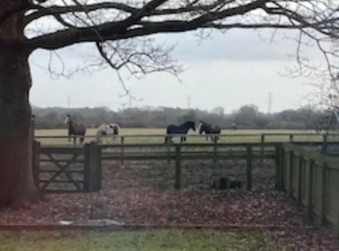 Signal At The Red House Estate York