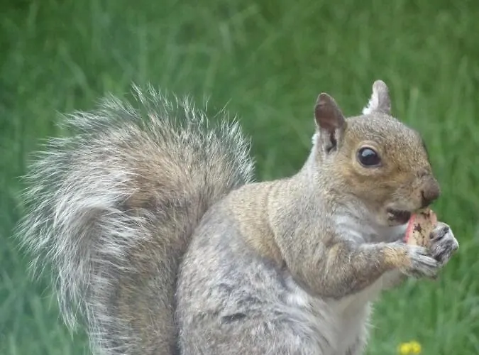 Signal At The Red House Estate Prázdninový dům *