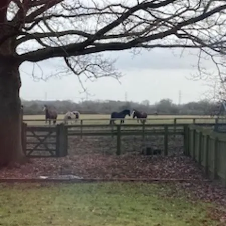 Signal At The Red House Estate York